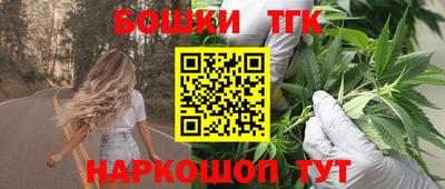 СК Дубна