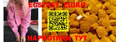 СК Дубна