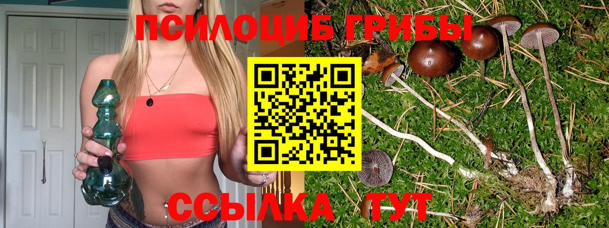 Галлюциногенные грибы прущие грибы Гусь-Хрустальный