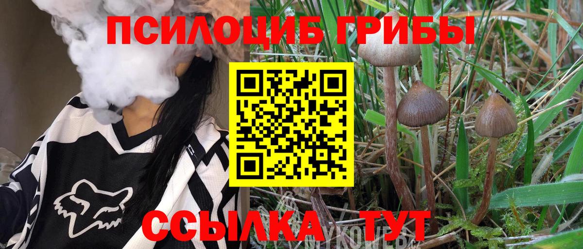 Галлюциногенные грибы прущие грибы  Галлюциногенные грибы мицелий  Вход с VPN  Гусь-Хрустальный 